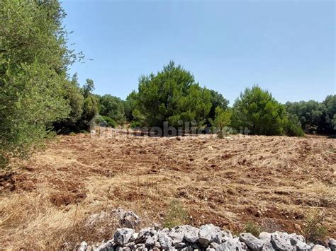 Terreno Agricolo Contrada Monte Cisternino Rif 104646593