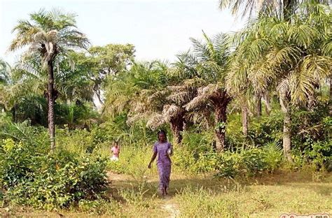 Les Enfants Du Cocon En Balade Le Cocon De Cabrousse