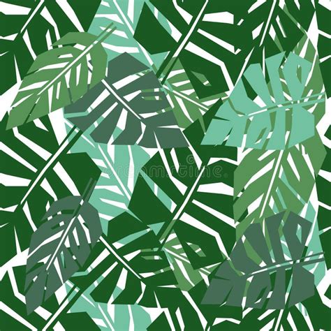 Feuille De Palme Verte Illustration Du Vecteur De Feuilles Tropicales