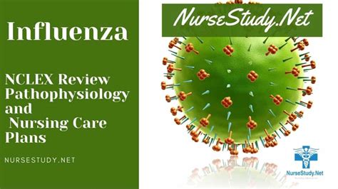 Influenza Nursing Diagnosis Interventions And Care Plans NurseStudy Net