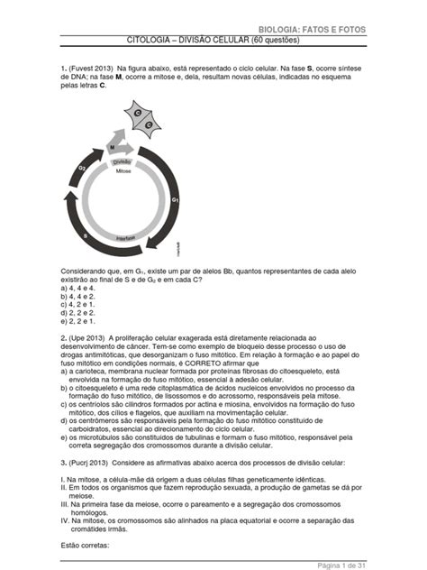 Exercícios sobre Divisão Celular 8º Ano | PDF | Meiose | Mitose