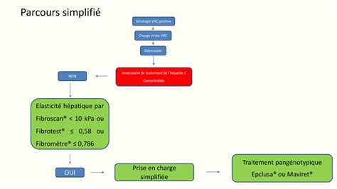 Recommandations Pour L Limination De Linfection Par Le Vhc En France