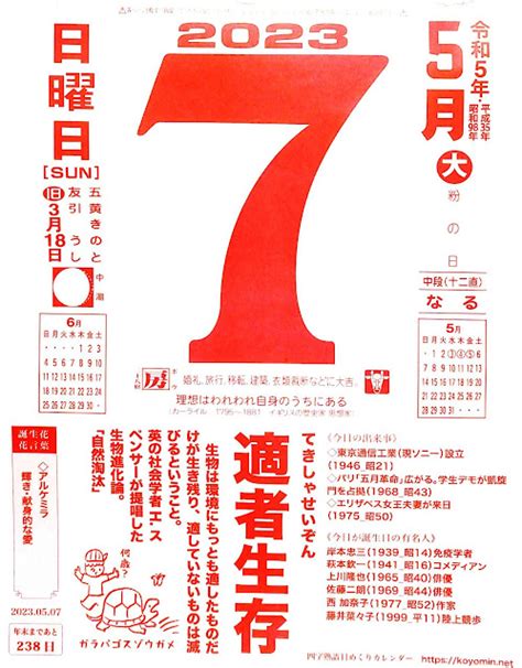 パイプにゅーす 原えつお四文字ひめくりカレンダー「令和5年5月7日（日）友引 二十八宿：房」「適者生存」旧歴3月18日