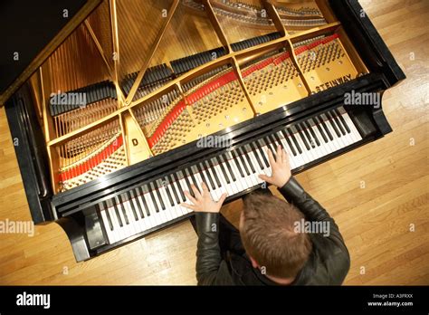 Grand Piano Lid