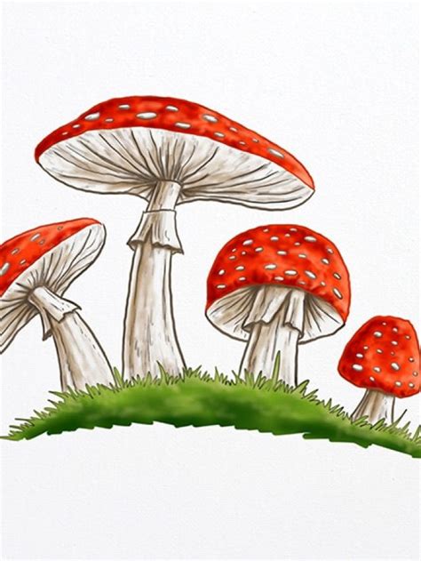 Mushroom Drawing A Step By Step Guide Art In Context