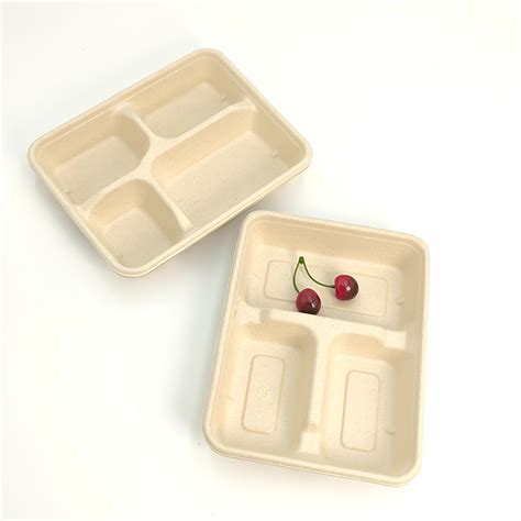 Degradable Natural Sugarcane Bagasse Eco Friendly Food Container