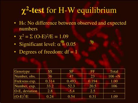 Ppt Chapter 2 Hardy Weinberg Powerpoint Presentation Free Download Id 929640