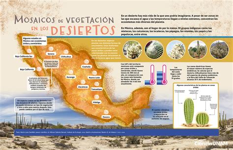 Mapa Mental Ecosistema Geno Porn Sex Picture