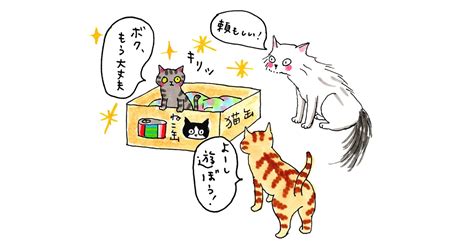 ヨロヨロと庭に来た片目をケガした子猫 階段登れるかな？長生きしてくれるかな？ 犬・猫との幸せな暮らしのためのペット情報サイト「sippo」