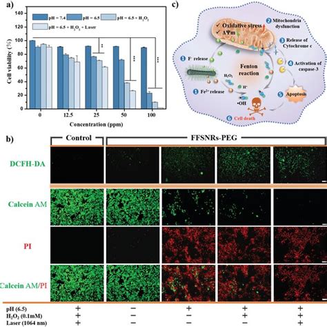 A Cell Viability Of 4T1 Cells With Different Treatments Data Are