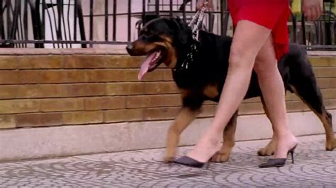 Nude Video Celebs Ola Ghanem Sexy Harim Karim