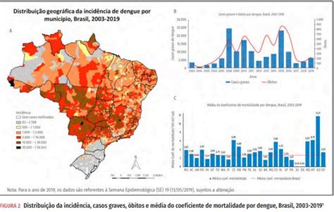 Dengue no Brasil 11 milhões de casos em 16 anos O que vi e ouvi nas