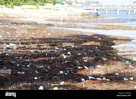 L Inquinamento Sporcizia E Detriti Viene Soffiata Sulla Spiagge Dalle