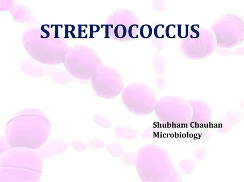 Streptococcus It A Gram Negative Bacteria Ppt