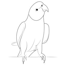 Norwegian Blue Parrot Coloring Pages for Kids - Download Norwegian Blue ...