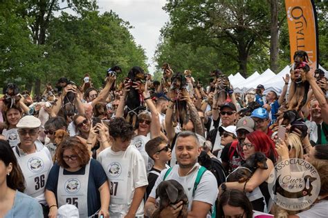 La Strabassotti Ritorna A Monza Il Giugno Pet Trend