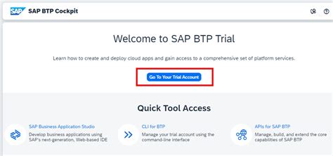 Setup Sap Build Code In Sap Btp Sap Tutorials