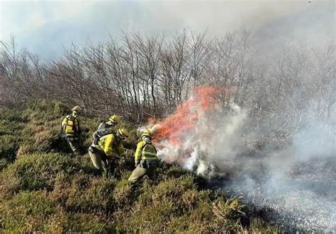 El Incendio De Espinosa De Los Monteros Baja De Nivel De Peligrosidad Y