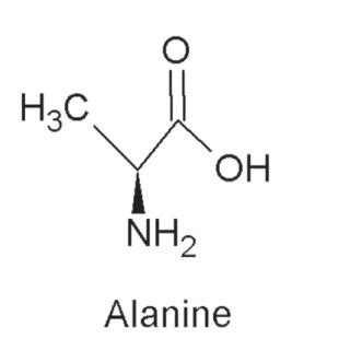 Chemical structure of amino acids. | Download Scientific Diagram