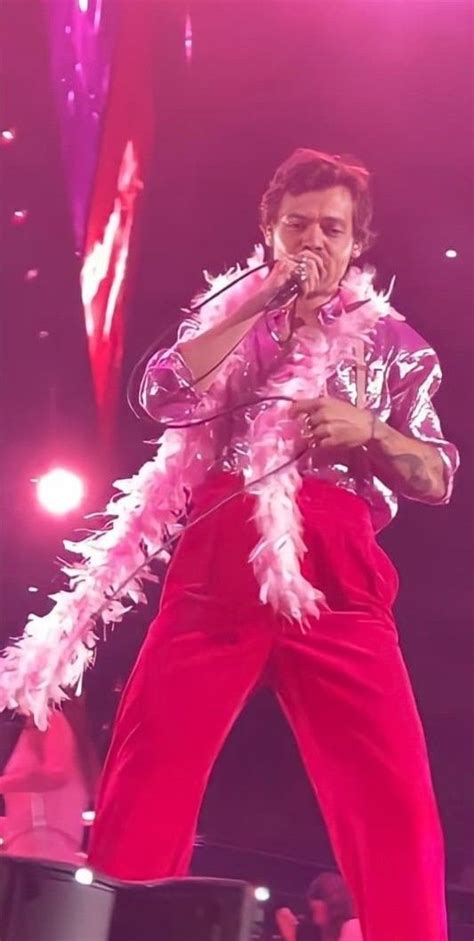 Pink Outfit Harry Styles Harry Styles Concert Harry Styles Harry Styles Concert Outfit