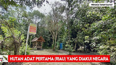 Hutan Adat Imbo Putui Petapahan Kecamatan Tapung Kabupaten Kampar