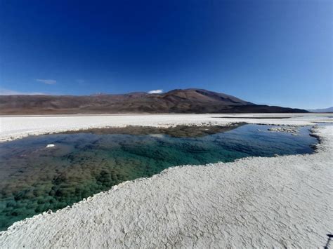 Ancient Seas Ruled by Newly Unearthed Giant Carnivorous Worms