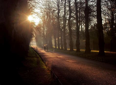 Blazing Sun But No Heat An Early Morning Winter Walk Along Flickr