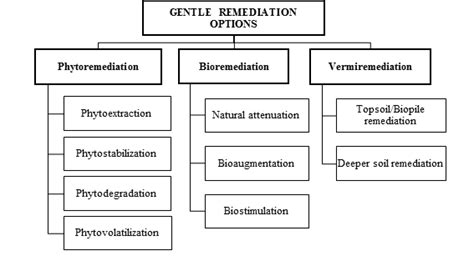 Biological Methods Of Polluted Soil Remediation For An Effective