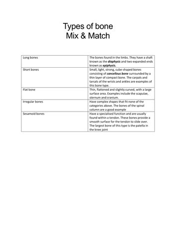 Btec Level 3 Sport 2016 New Specification Unit 1 Learning Aim A Skeletal System Teaching