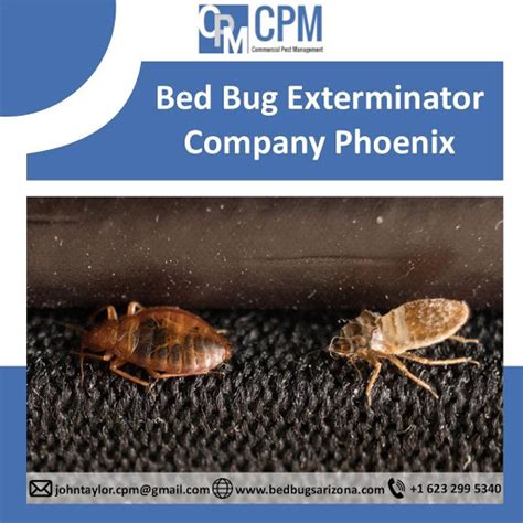 Bed Bug Exterminator Company Phoenix by bedbugsarizona on DeviantArt