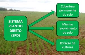 Agricultura Sustentável O Que É e Como Fazer 3 Exemplos