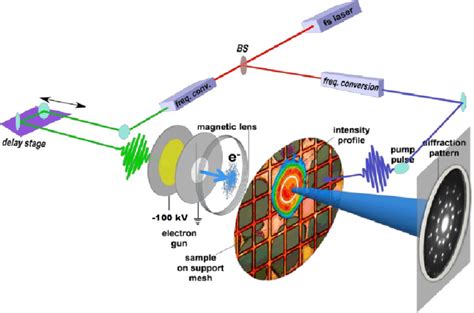 Femtosecond Electron Diffraction Fed Layout For A Compact Electron