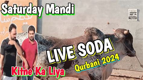 Live Dealing Ho Gai Kitne Ka Liya Qurbani Shahpur Kanjra