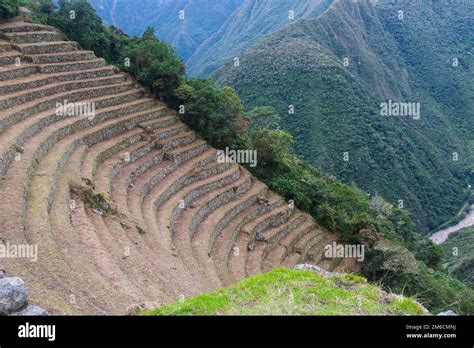 Terrace farming inca hi-res stock photography and images - Alamy