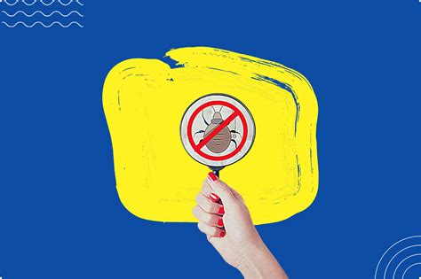 How to Treat Bed Bugs Bite in 7 Easy Ways