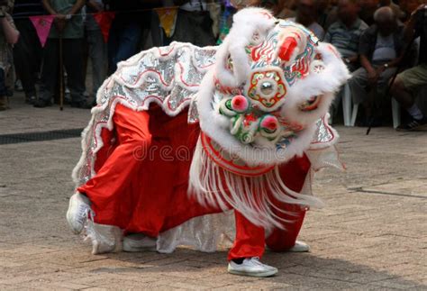 Chinese Dragon Costume editorial image. Image of tradition - 14912805