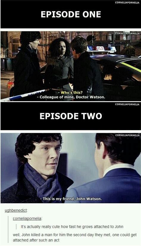 BBC Sherlock Memes - From Colleague To Friend | Sherlock bbc, Sherlock ...