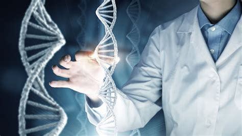 Genetic engineering and human-animal hybrids: how China is leading a ...