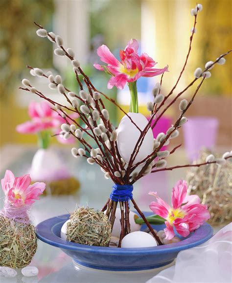 Pussy Willow Branches Art