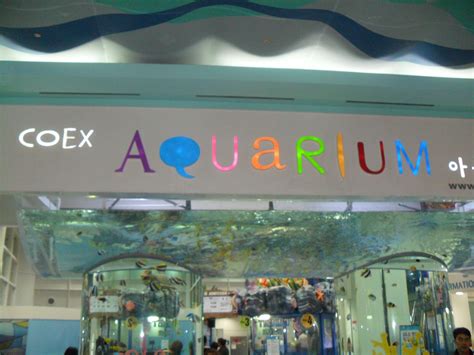 Coex Aquarium Light Box Aquarium South Korea