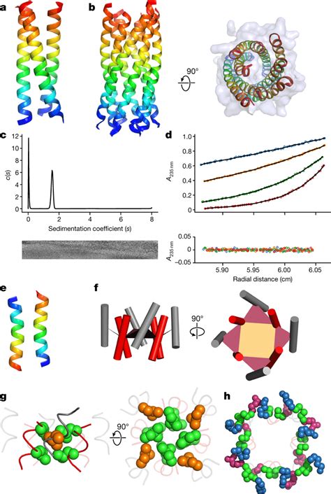 Crystal Structures Of De Novo Designed Peptides A B Backbone Ribbon