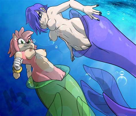 Amy And Marie Commission By Meteorreb Rn Hentai Foundry