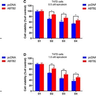 Effects Of ABTB2 On Cell Viability In Epirubicin Treated MCF 7 And