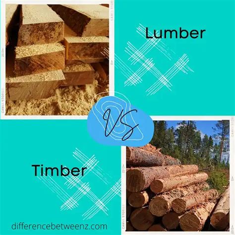 Difference between Lumber and Timber - Difference Betweenz