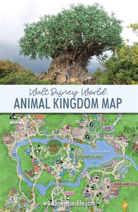 Animal kingdom map walt disney world – Artofit