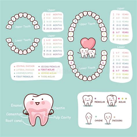 Amigo Do Dente Dos Desenhos Animados Dentista Ilustra O Do Vetor