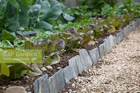 Slate edging in vege... stock photo by FhF Greenmedia, Image: 0170342