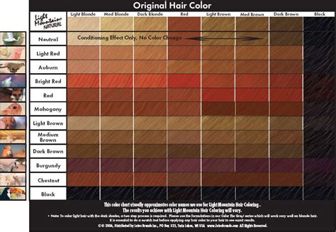Henna Hair Color Chart