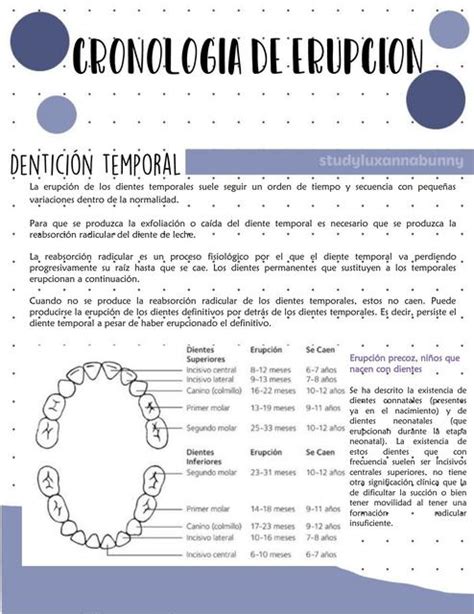 Cronologia dental Lily Sánchez uDocz