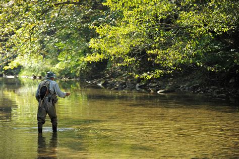 Fishing Elkins Randolph County Tourism